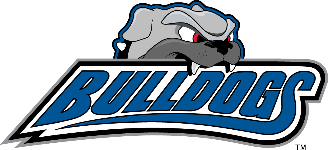 North Carolina Asheville Bulldogs 1998-Pres Alternate Logo v2 t shirts iron on transfers